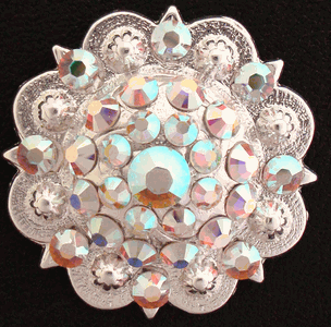  Logo Plaque / Queen Chaps