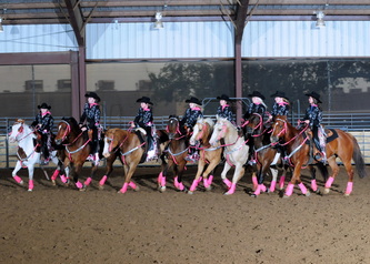 Drill Team Chaps